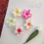 کلیپس پلومریا - Image 3
