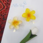 کلیپس پلومریا - Image 4