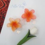 کلیپس پلومریا - Image 5