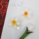 کلیپس پلومریا - Image 8
