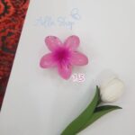 کلیپس پلومریا - Image 10