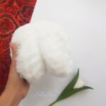 گوشگیر نرمالو - Image 10